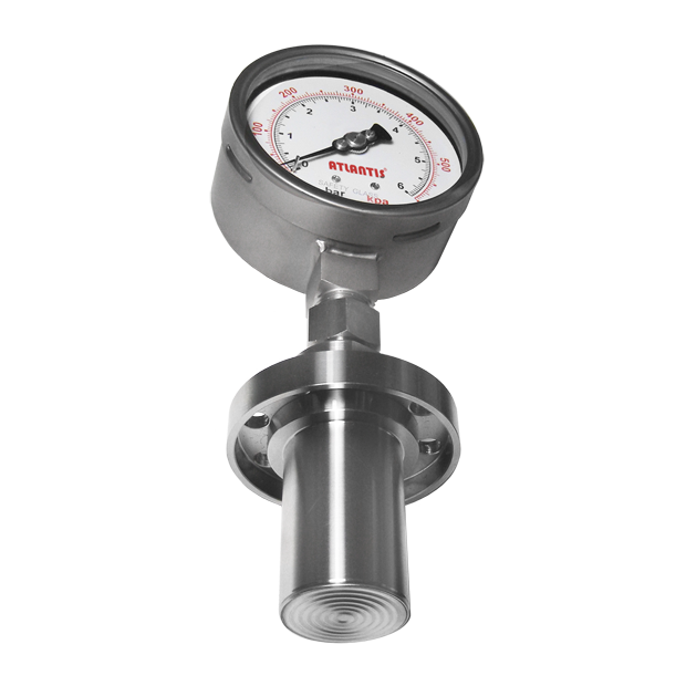 DIAPHRAGM SEALED Flange Process Connection－Extended diaphragm type DS300L series.png