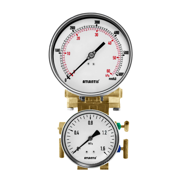Low Temperature Level Differential Pressure Gauge